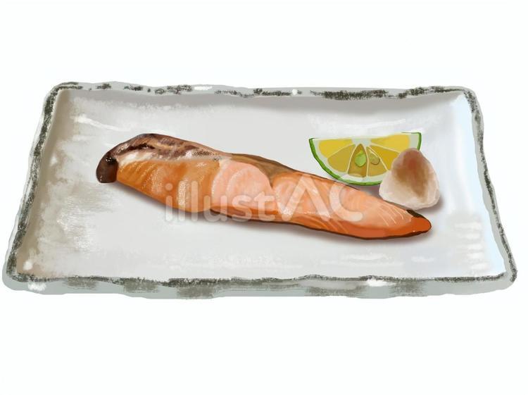 鮭の塩焼き（8） 鮭,塩焼き,焼き魚のイラスト素材