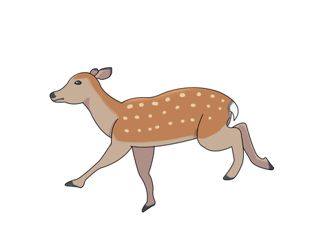 ニホンジカ(走る) ニホンジカ(走る) ニホンジカ,鹿,動物,奈良,走るのイラスト素材