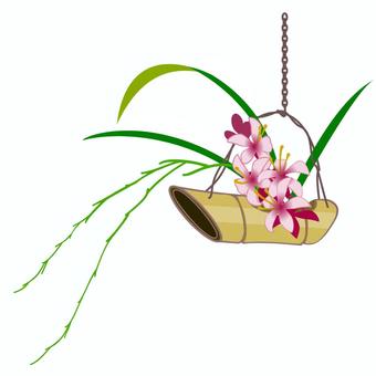 解夏草 解夏草,吉祥草,吊り船,初秋,生け花,季語,歳時記のイラスト素材