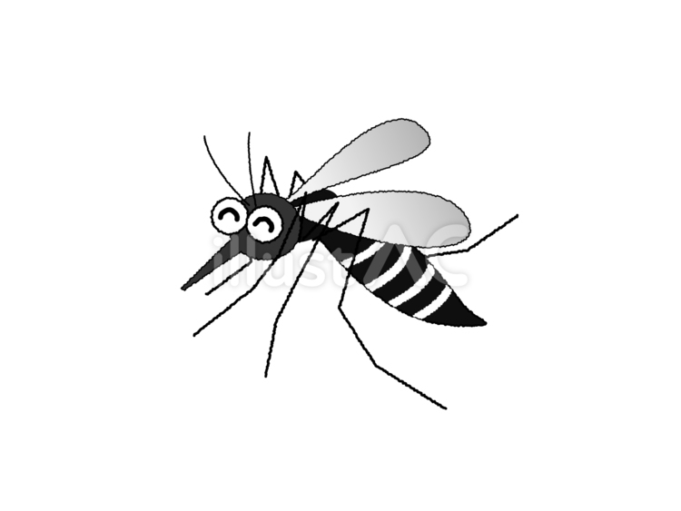 輪郭線付きのかわいい蚊 蚊,虫刺され,害虫のイラスト素材