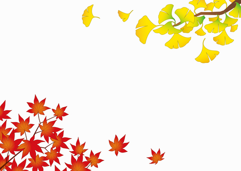 Autumn frame_Hw 秋,フレーム,紅葉,銀杏,かえで,飾り枠,10月,11月,背景素材,ベクターのイラスト素材