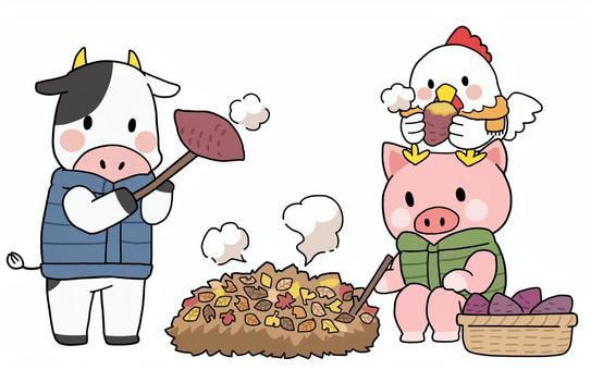 焼き芋を楽しむ畜産動物（牛・鶏・豚） 畜産,動物,牛,鶏,豚,秋,焼き芋,落ち葉,ニワトリ,家畜のイラスト素材