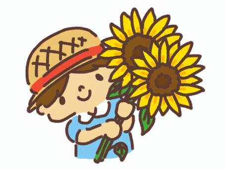 Sunflowers and boys, , JPG and PNG