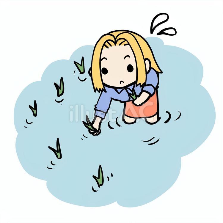 田植えする金髪女性 金髪,田植え,田んぼのイラスト素材