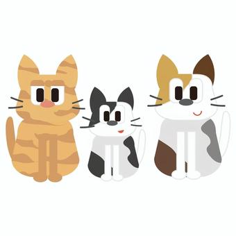複数の猫の群れ 複数の猫の群れ 動物,生き物,猫,ねこ,子猫,ペット,ペットショップ,群れ,シンプル,かわいいのイラスト素材