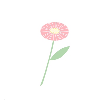 flower, flower, plant, a round, JPG and PNG