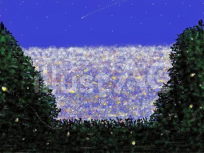 山上からの夜景