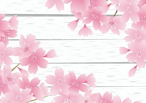 桜と白いウッド調の板の背景素材