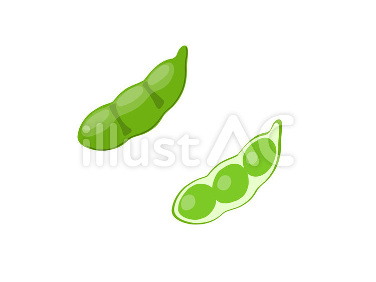 ゆるい手書きの枝豆　ベクター 枝豆,豆,野菜のイラスト素材