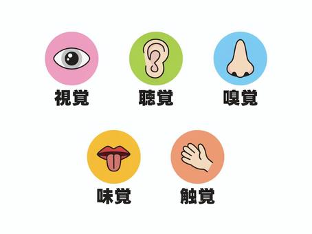 五感のパーツ　セット２ 視覚,目,眼,見る,瞳,五感,パーツ,聴覚,耳,聴くのイラスト素材