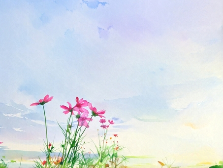 コスモスと青空の水彩イラスト コスモス,花,草花,秋桜,秋,9月,10月,青空,夏,初秋のイラスト素材