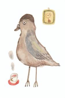 Illustration, pigeons, coffee, hot drinks, 