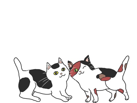 超仲良しネコフレーム ネコ,フレーム,仲良し,動物,三毛,ブチ,白黒,カワイイ,ペットのイラスト素材