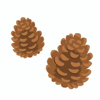 松ぼっくり1 秋,松ぼっくり,木の実,まつぼっくり,風物詩,マツボックリ,松ぼくり,実,球果,植物のイラスト素材