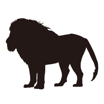 動物18_ライオン ライオン,シルエット,アイコン,イラスト,白黒,モノクロ,白背景,動物,横顔,横向きのイラスト素材