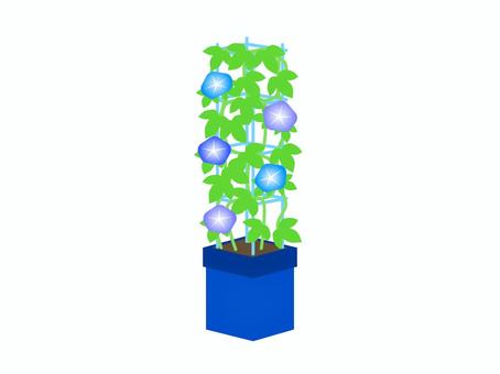 朝顔の栽培キット 朝顔の栽培キット アサガオ,花,植物,風物詩,夏,プランター,葉っぱ,育てる,植える,アイコンのイラスト素材