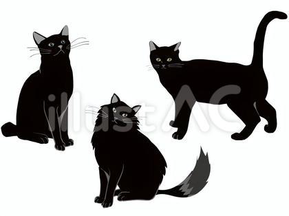 黒猫