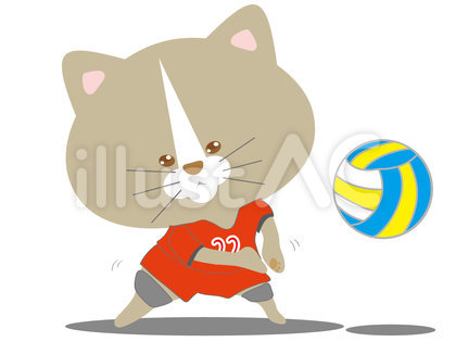 スポーツ猫