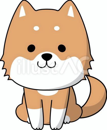 柴犬