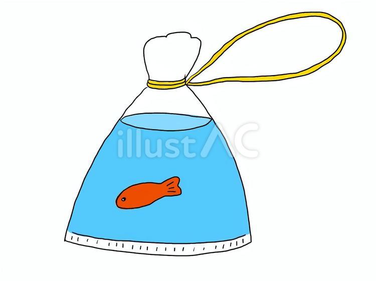 金魚すくいで捕まえたふてくされた金魚 金魚すくい,金魚,縁日のイラスト素材