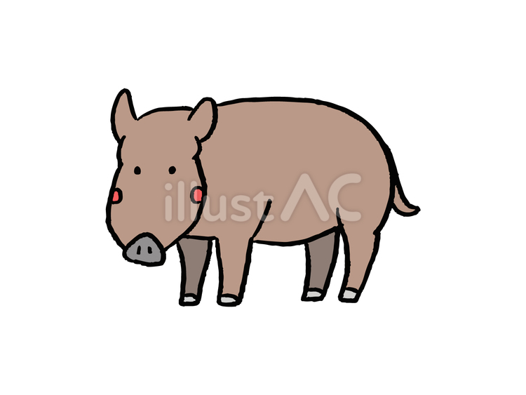 いのししのイラスト いのしし,獣,害獣のイラスト素材