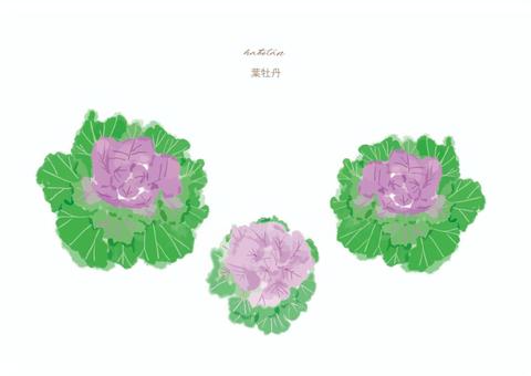 Leaf Peony A, , JPG, PNG and AI