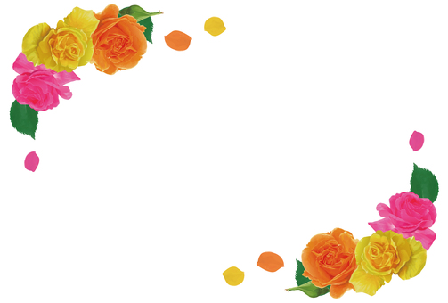 花素材_薔薇フレーム04 薔薇,バラ,花,春,ゴージャス,豪華,花びら,葉,蕾,リアルのイラスト素材
