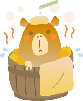 カピバラがゆずの入った温泉に入っている絵 冬至,12月,冬,カピバラ,柚子湯,かわいい,ゆるい,イラスト,温泉,柚子のイラスト素材
