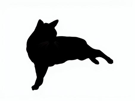 猫。。 猫,シルエット,動物,背景透過,黒猫,イラスト,素材,透過png,アイコン,ペットのイラスト素材
