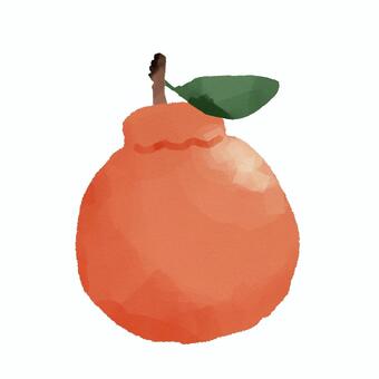スケッチ手描きのようなデコポン でこぽん,デコポン,フルーツ,くだもの,みかん,冬のイラスト素材