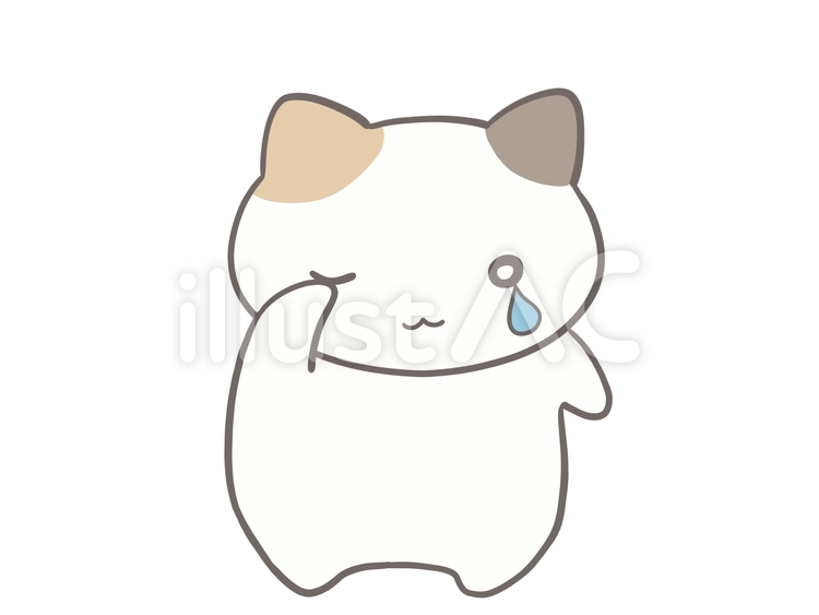 シクシク泣く三毛猫 涙,泣く,悲しいのイラスト素材