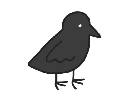 Crow, crow, animal, bird, JPG and PNG