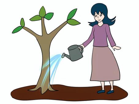 育てる 木,水やり,水,女,女性,かける,あげる,水あげ,散水,育つのイラスト素材