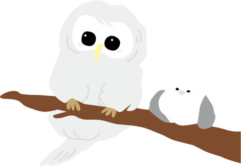 フウロウとシマエナガ フクロウ,シマエナガ,手書き風,かわいい,木の枝のイラスト素材