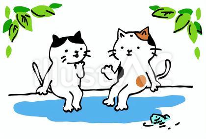 猫 五月 語らい
