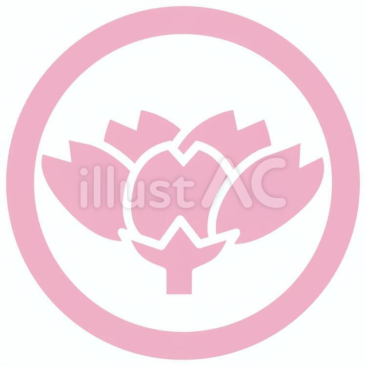 桜紋b_ピンク_v8 桜,さくら,サクラのイラスト素材