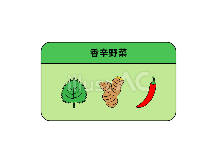 香辛野菜（野菜の分類-4） 香辛野菜,野菜,食品のイラスト素材