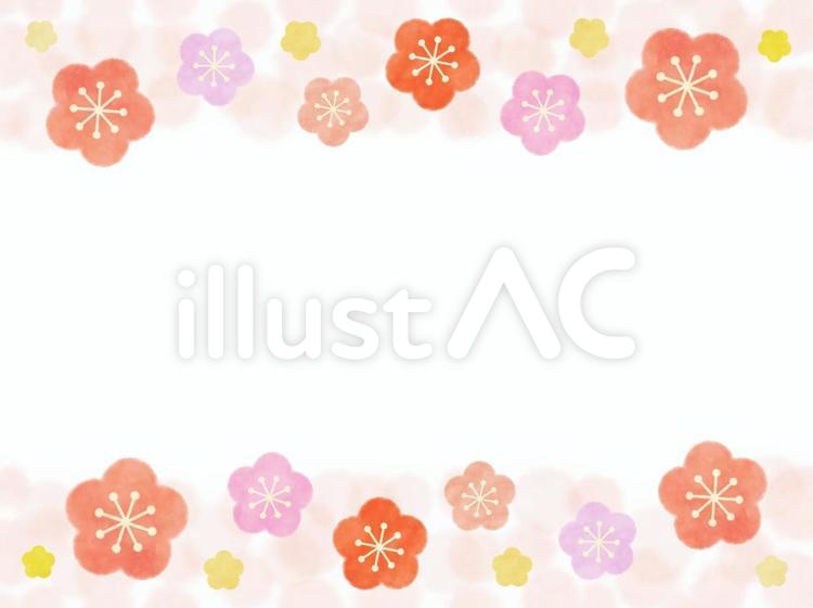 水彩風梅の花フレーム② 梅の花,梅,うめのイラスト素材