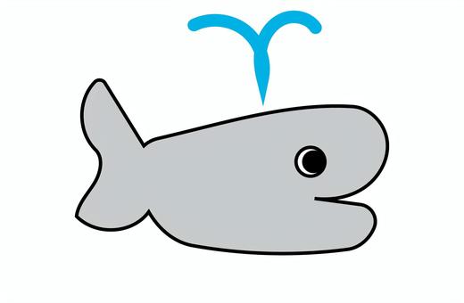 くじら クジラ,くじら,鯨,生き物,動物,かわいい,アイコンのイラスト素材