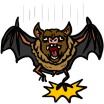 コウモリ着陸！ コウモリ,着陸,動物,魔物,モンスター,翼のイラスト素材