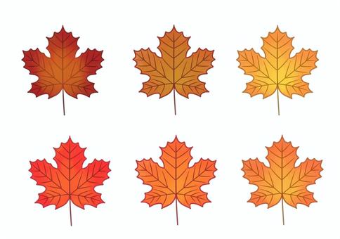 秋のカエデ・メープルの葉の水彩画セット 秋のカエデ・メープルの葉の水彩画セット 赤,秋,メープル,カエデ,葉,セット,グラデーション,水彩画のイラスト素材