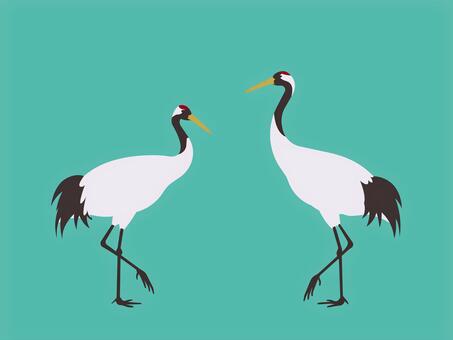 ２羽の向かい合う鶴 鶴,丹頂鶴,鳥,野鳥,生き物,鳥類,野生,年賀状,冬,北海道のイラスト素材