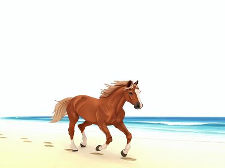 新年の海岸を走る2026年の干支の午の馬 馬,午,海,砂浜,走る,足跡,動物のイラスト素材