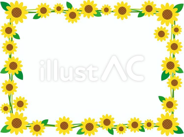 ひまわり4　フレーム ひまわり,花,夏のイラスト素材
