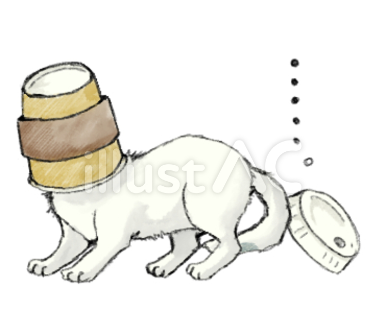 器具と猫⑤ 猫,カップ,エキゾチックショートヘアのイラスト素材