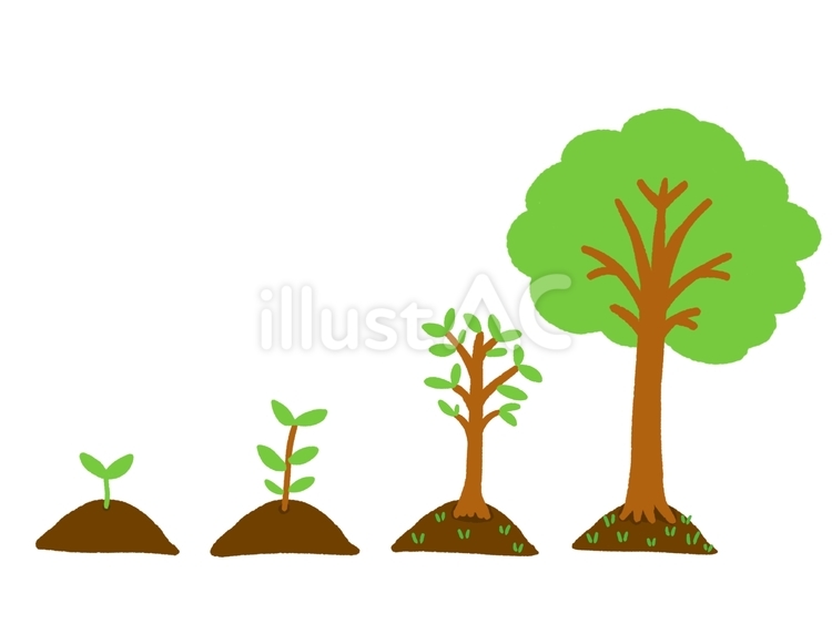 植物成長の図3（木） 植物,木,若芽のイラスト素材