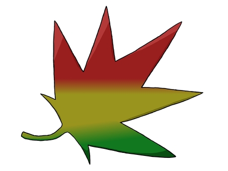 紅葉 紅葉,葉,もみじ,植物,生き物,赤,黄色,緑,グラデーション,落ち葉のイラスト素材