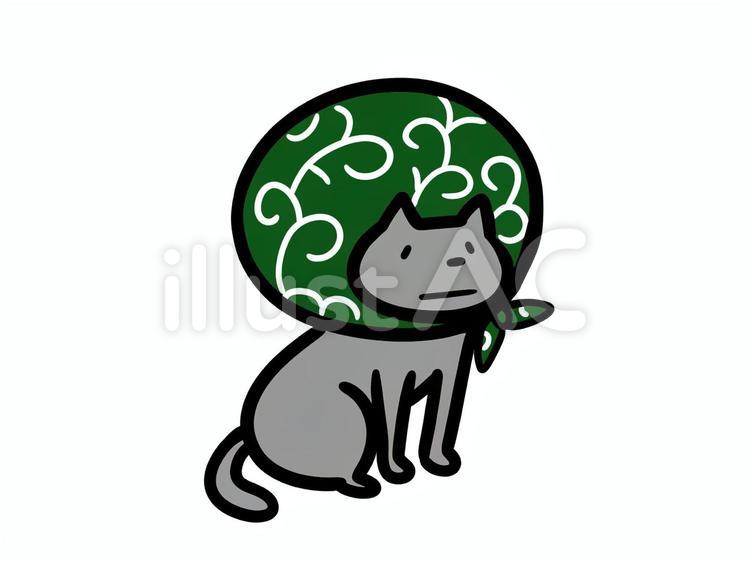 どろぼう猫 どろぼう猫,泥棒,猫のイラスト素材