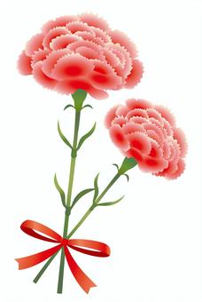 Carnation illustration 01, , JPG, PNG and AI