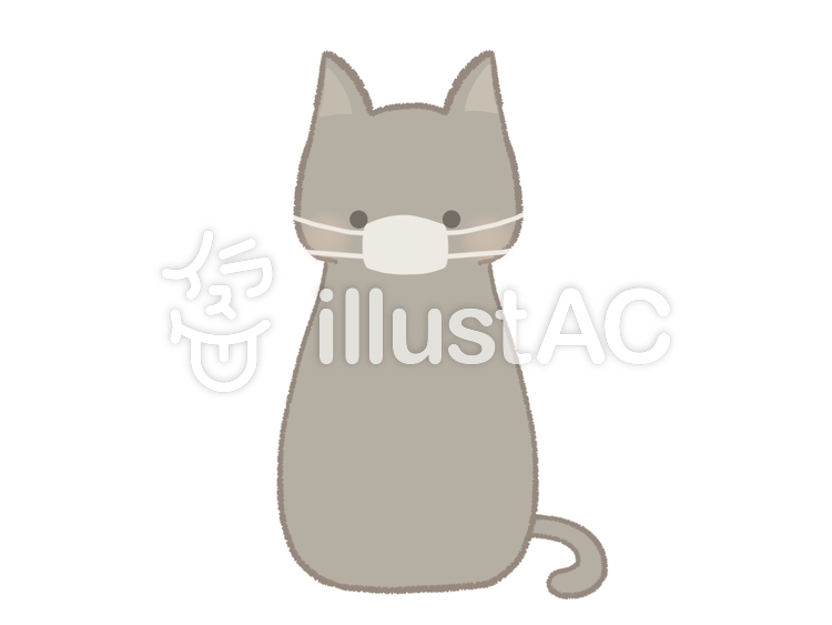 マスクをして座る猫のイラスト　線あり ネコ,マスク,動物のイラスト素材